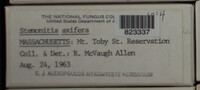 Image Associated With the Occurence